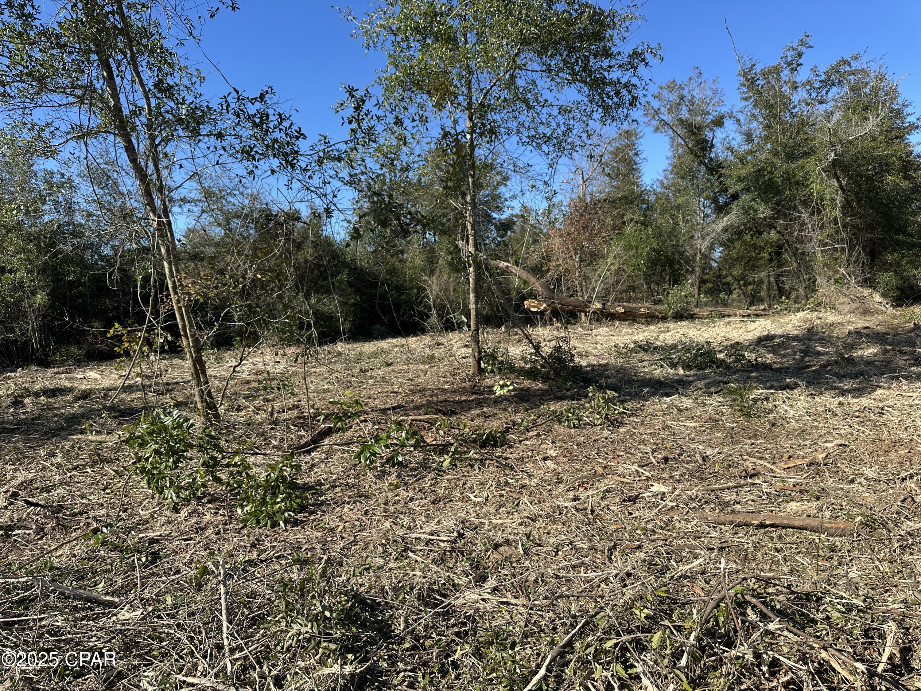 Image 10 For 31 Indian Bluff Drive