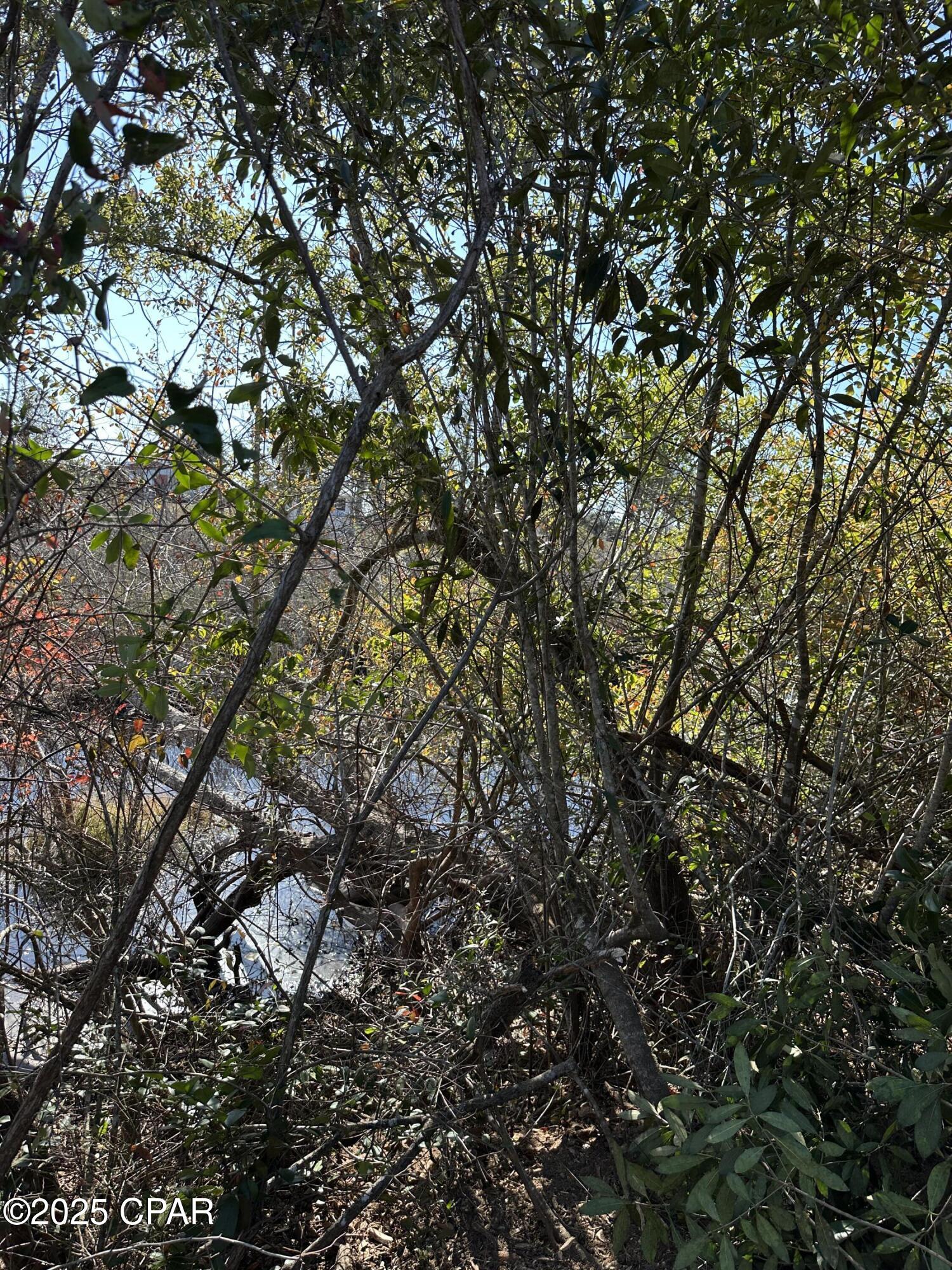 Image 12 For 31 Indian Bluff Drive