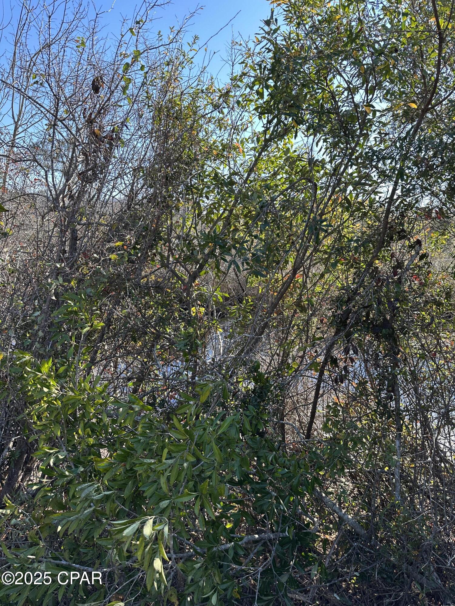 Image 7 For 31 Indian Bluff Drive