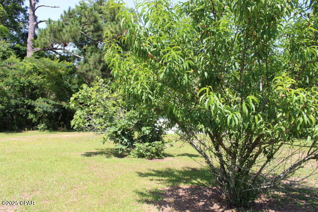 Image 20 For 2100 3rd Avenue