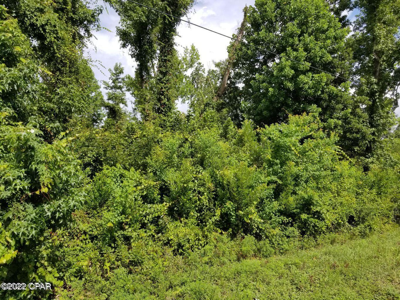 Image 2 For 0 Highway 389