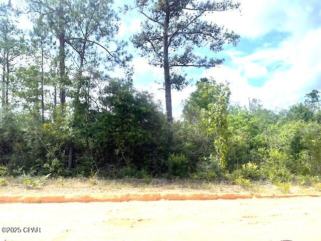 Details for 0 Laurel Circle, Alford, FL 32420