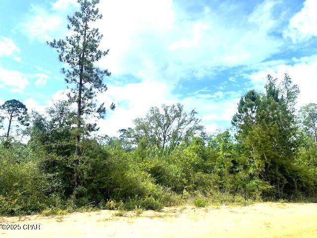 Image 3 For 0 Laurel Circle