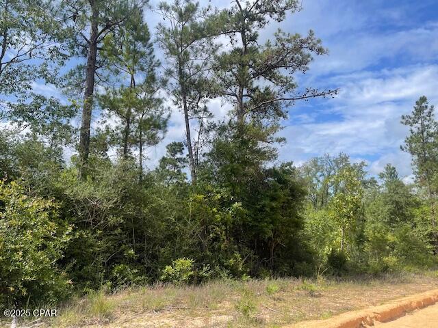 Homes for sale in Alford, FL | 0 Laurel Cir, Alford, FL 32420 | MLS# 774405