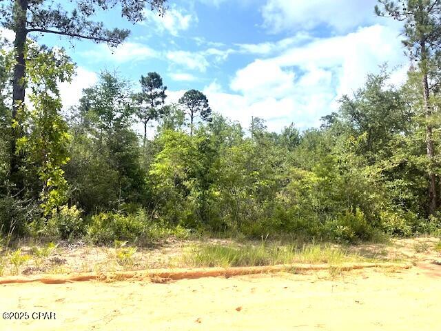 Image 5 For 0 Laurel Circle