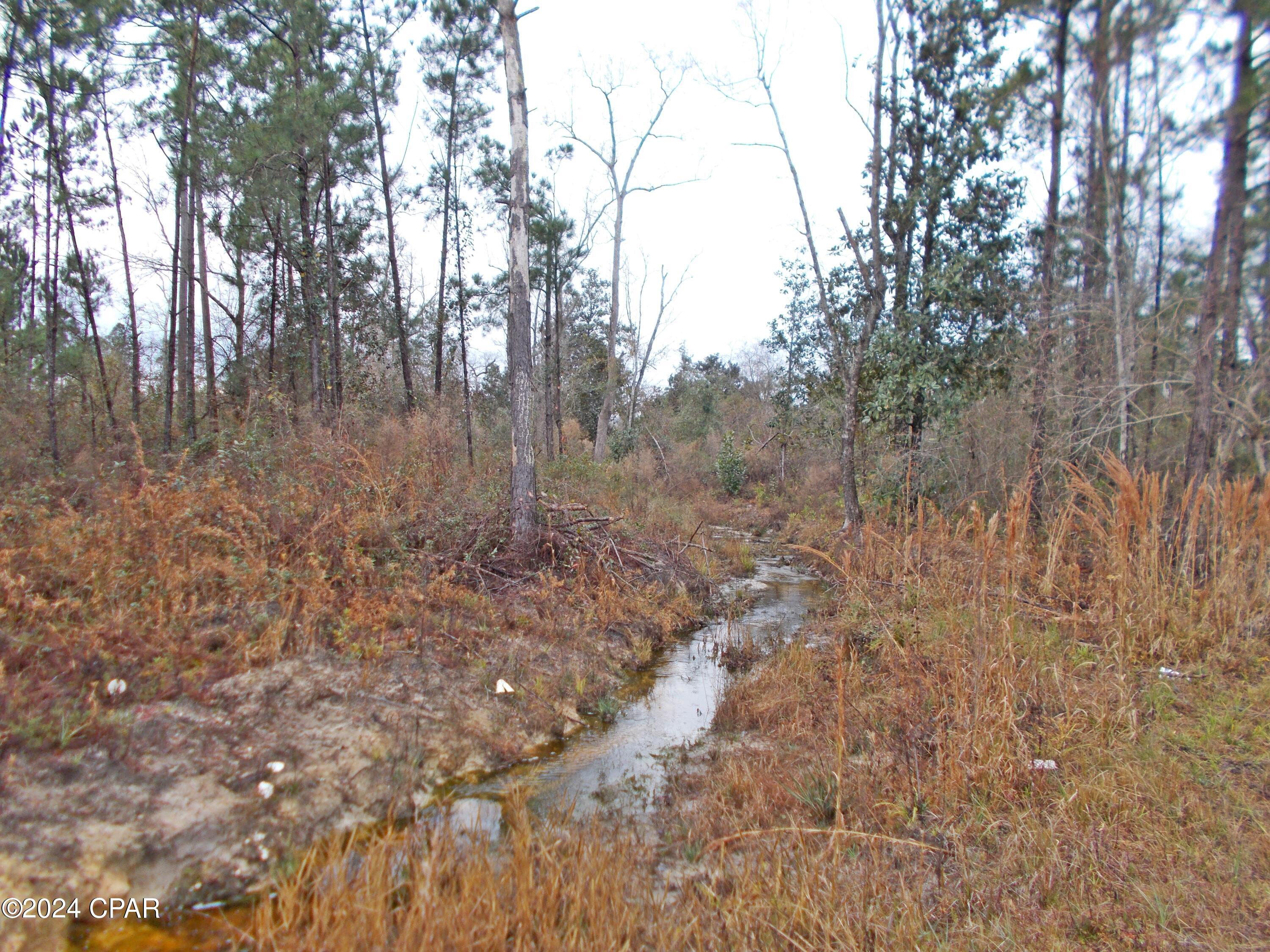 Image 3 For 2429 Bridgecreek Road