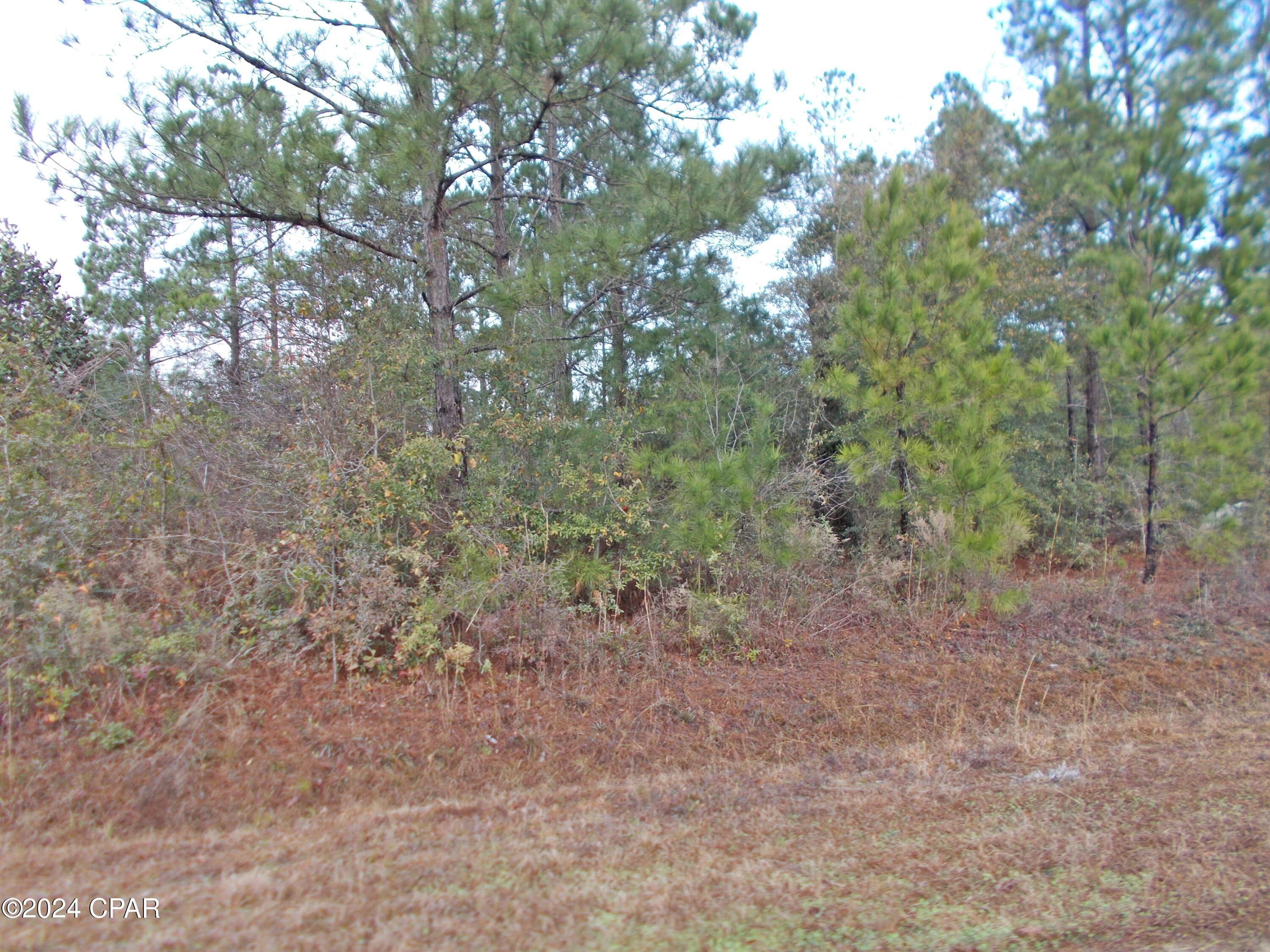 Image 4 For 2429 Bridgecreek Road