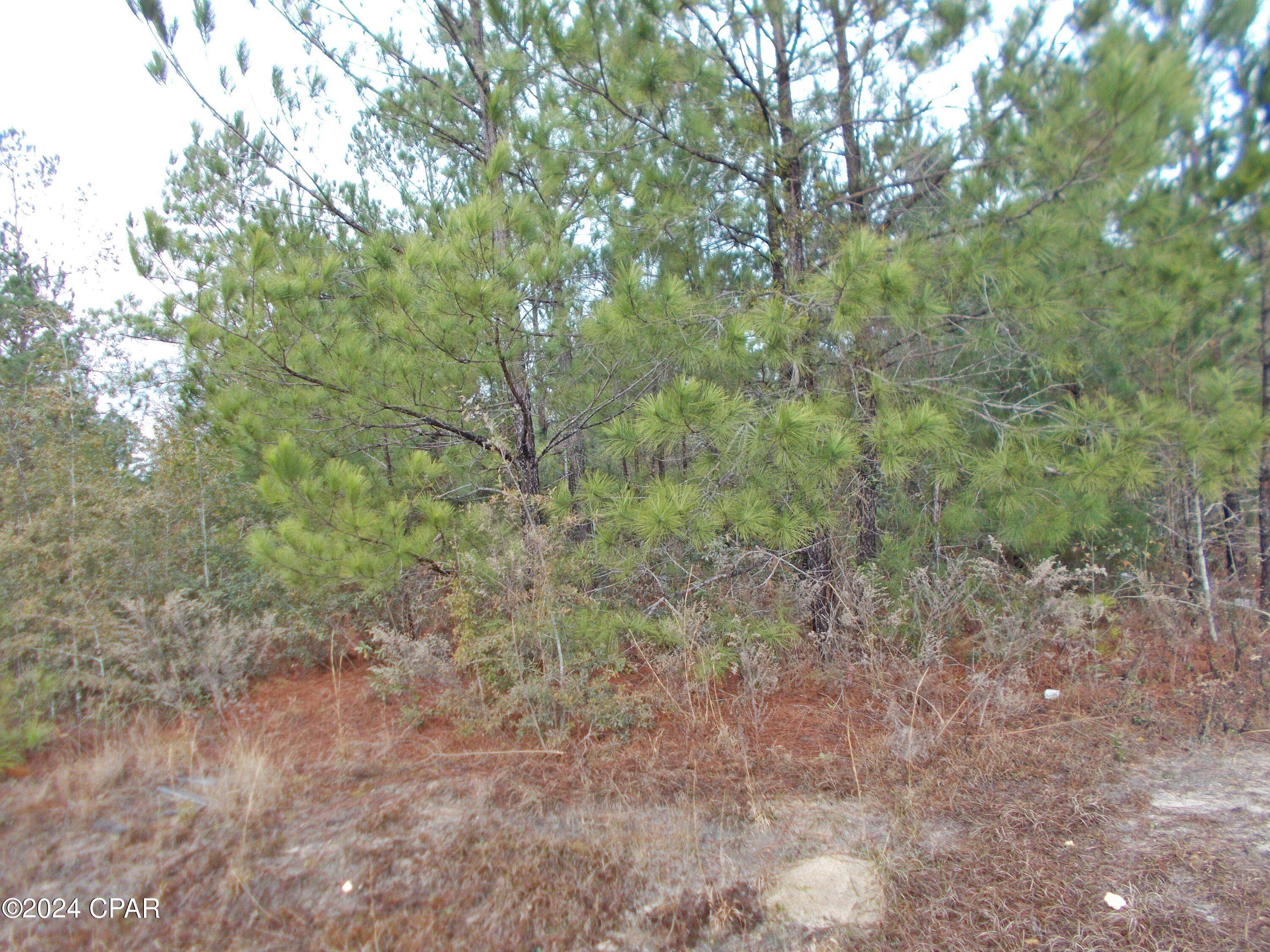 Image 5 For 2429 Bridgecreek Road