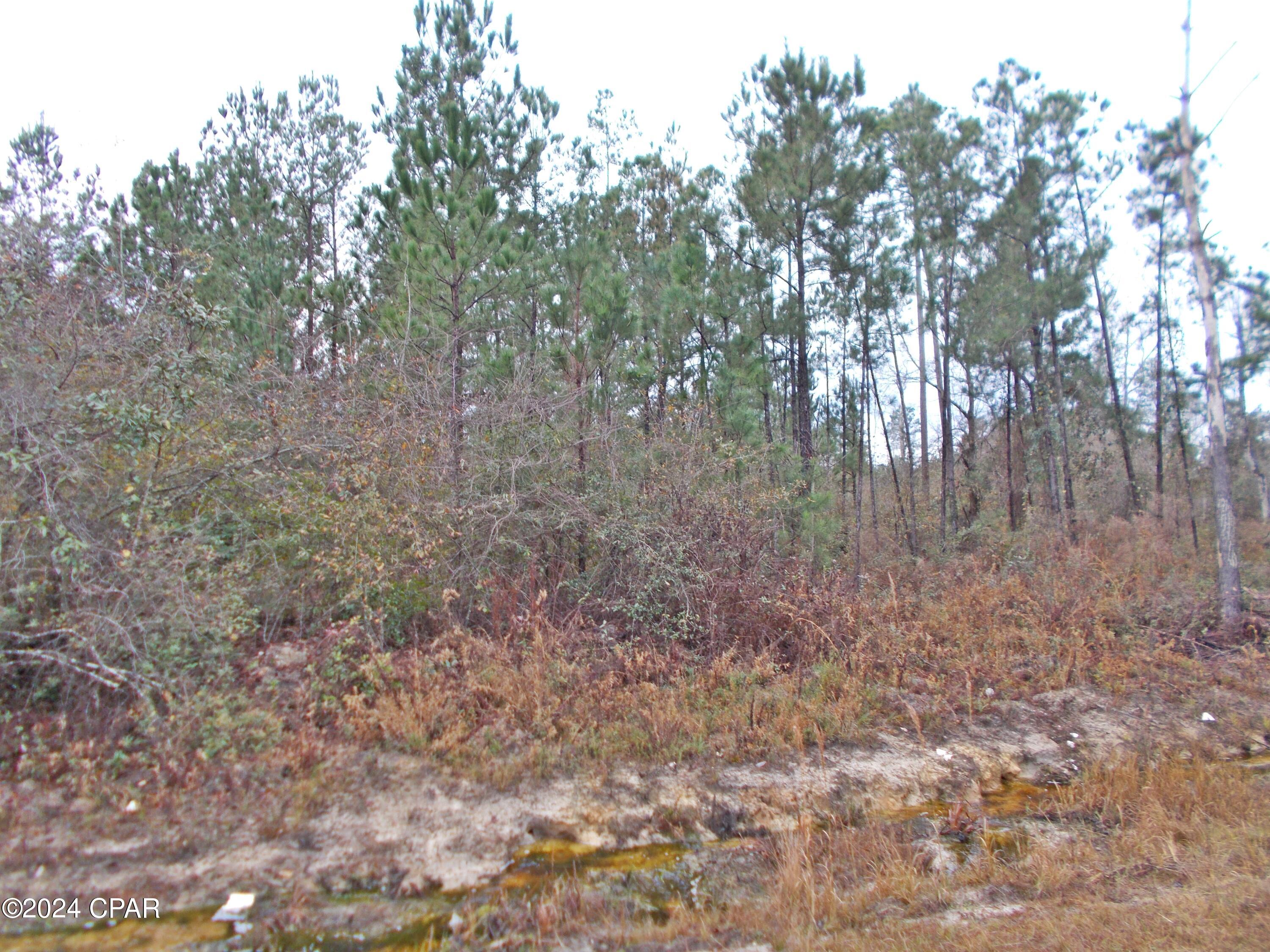 Image 6 For 2429 Bridgecreek Road