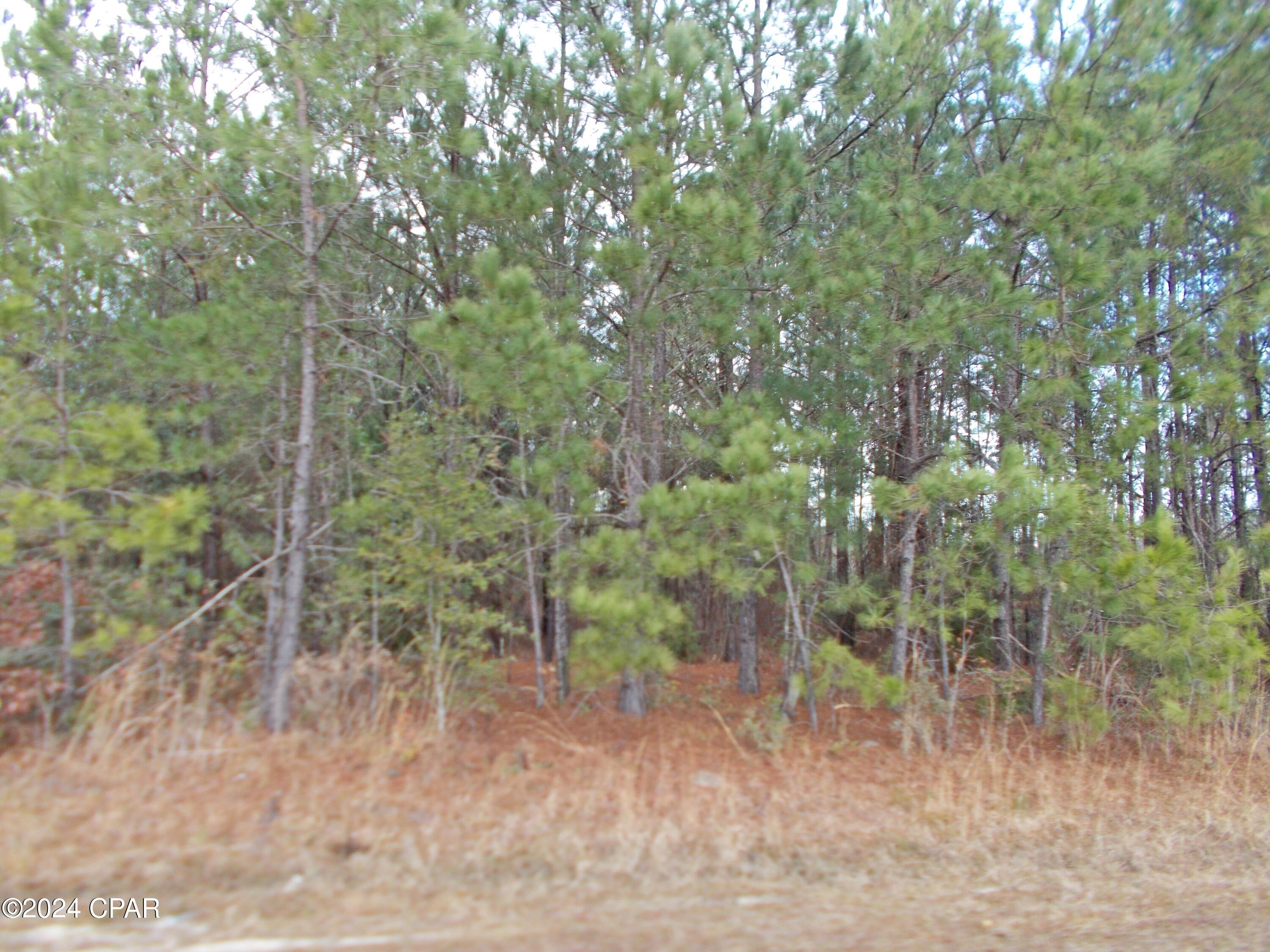 Image 7 For 2429 Bridgecreek Road