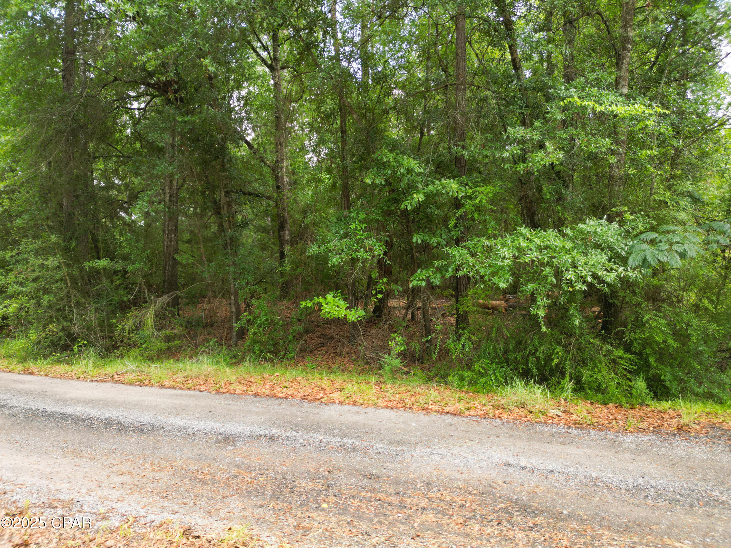 Image 11 For 000 Fairway Drive