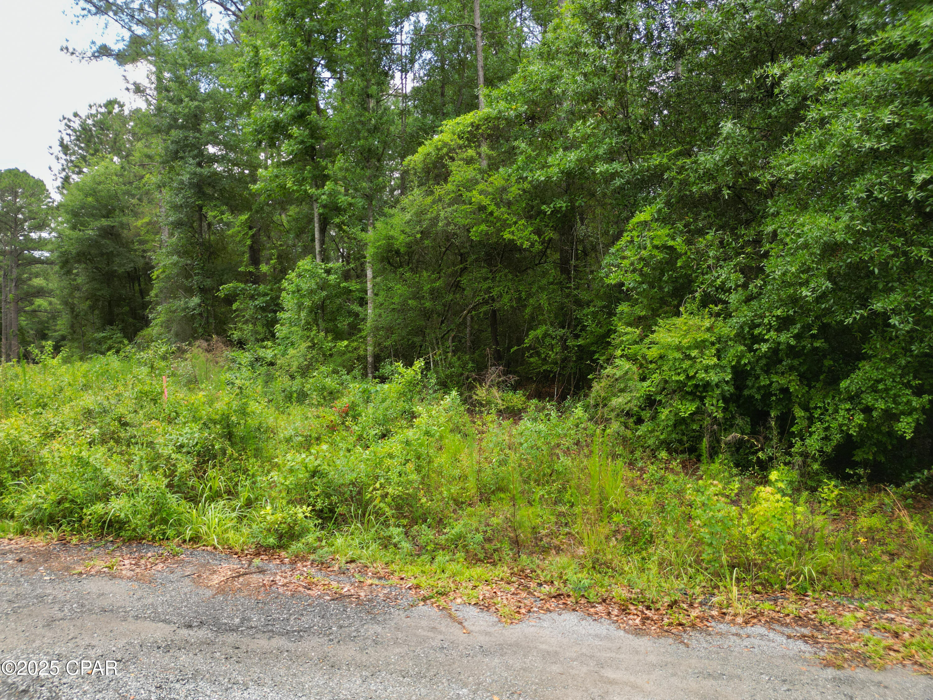 Homes for sale in Bonifay, FL | 000 Fairway Dr, Bonifay, FL 32425 | MLS# 774570