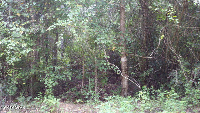 Listing Details for 0 Tj Mitchell Road, Bonifay, FL 32425