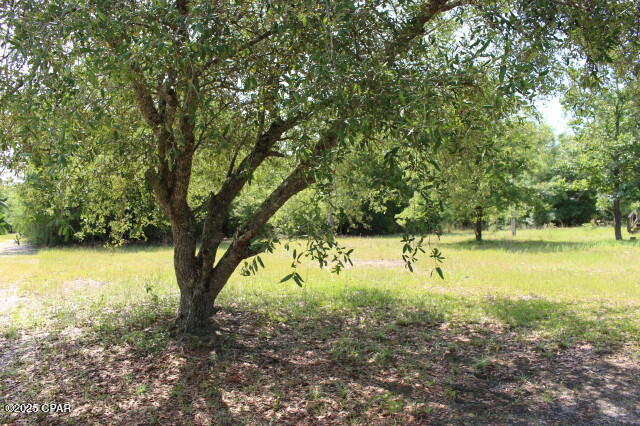 Image 29 For 5929 Nichols Road