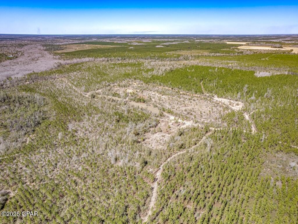 Image 13 For 0 Sr 71  