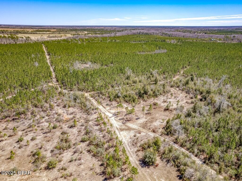 Image 15 For 0 Sr 71  