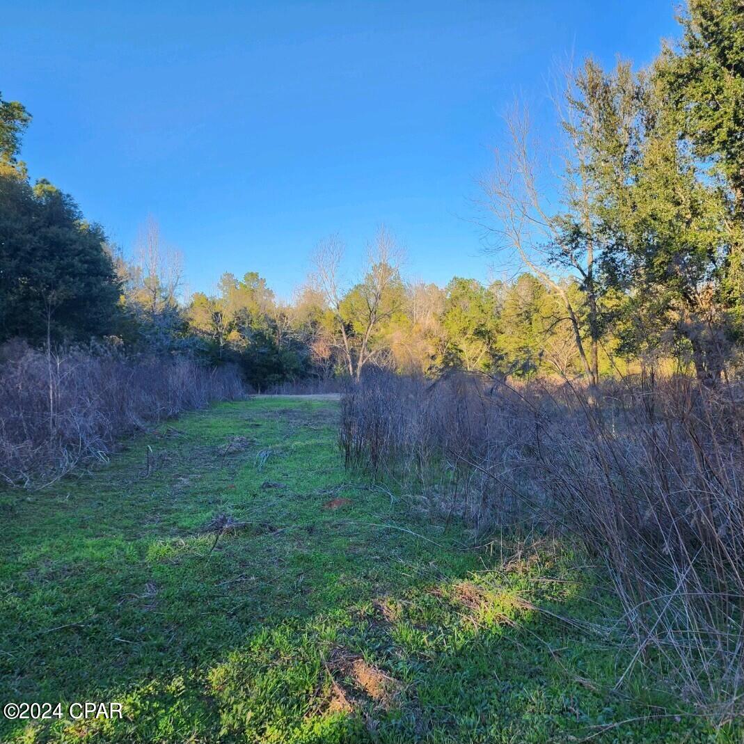 Image 4 For 2770 Buttercup Lane