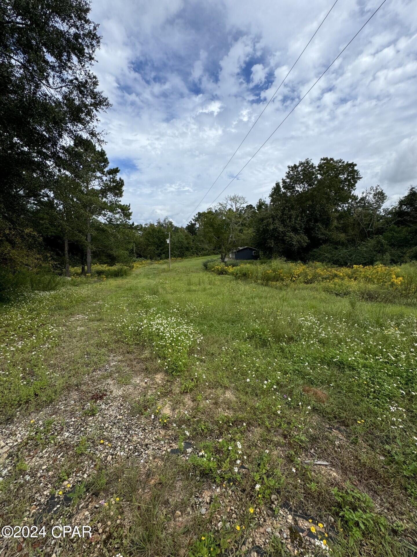 Image 8 For 2770 Buttercup Lane