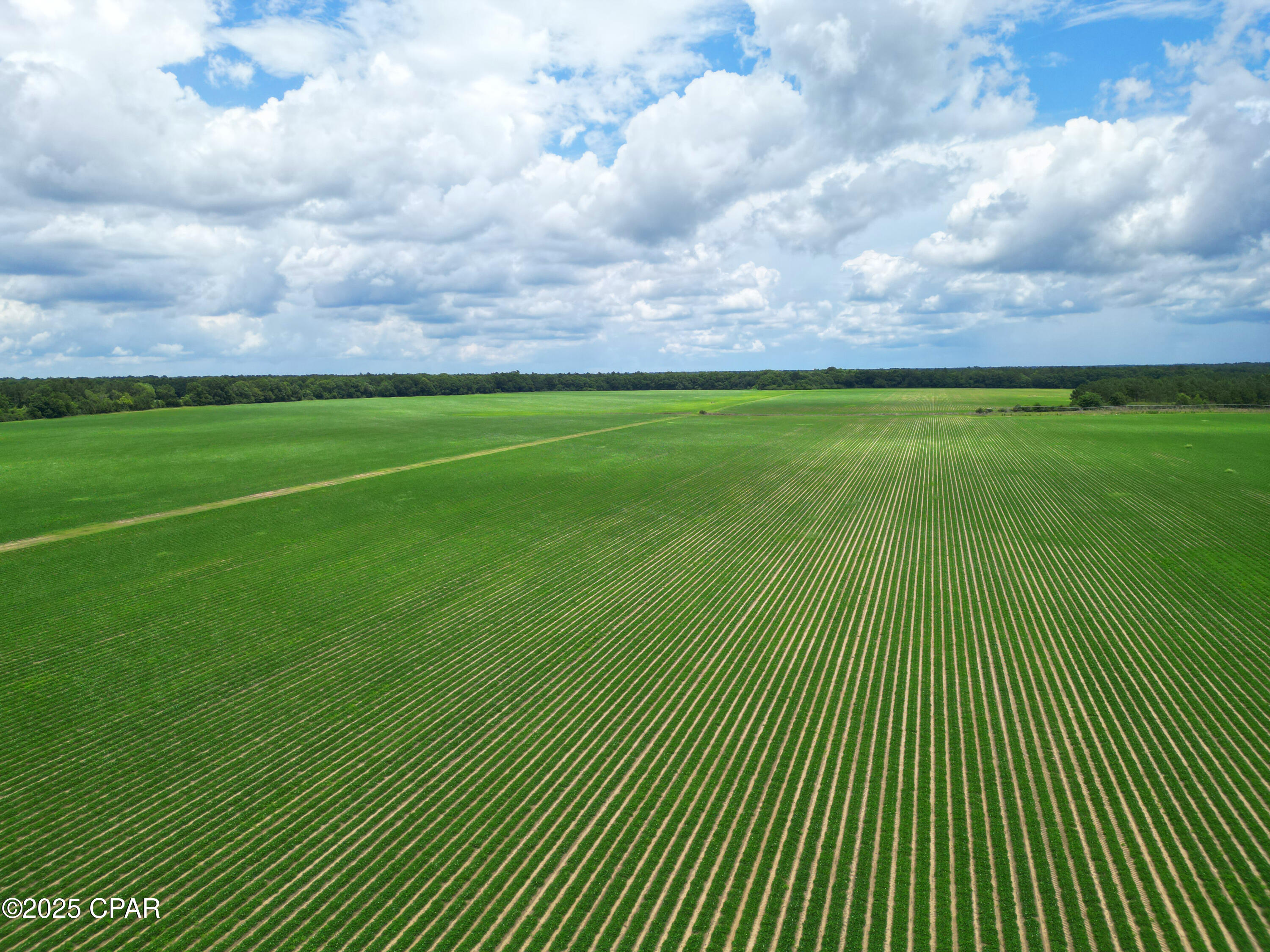 Image 1 For 00 Blue Star Highway