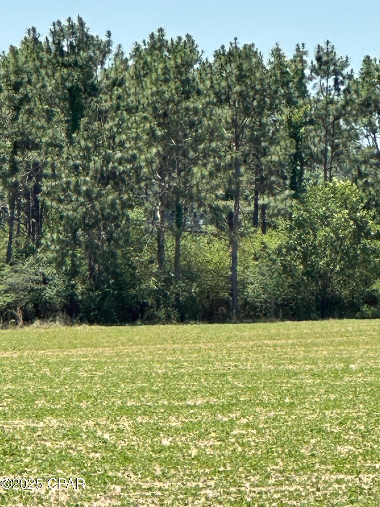 Image 6 For 00 Blue Star Highway