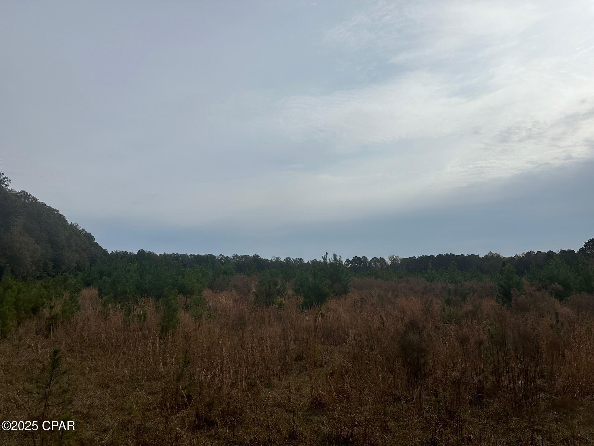 Image 7 For 00 Blue Star Highway