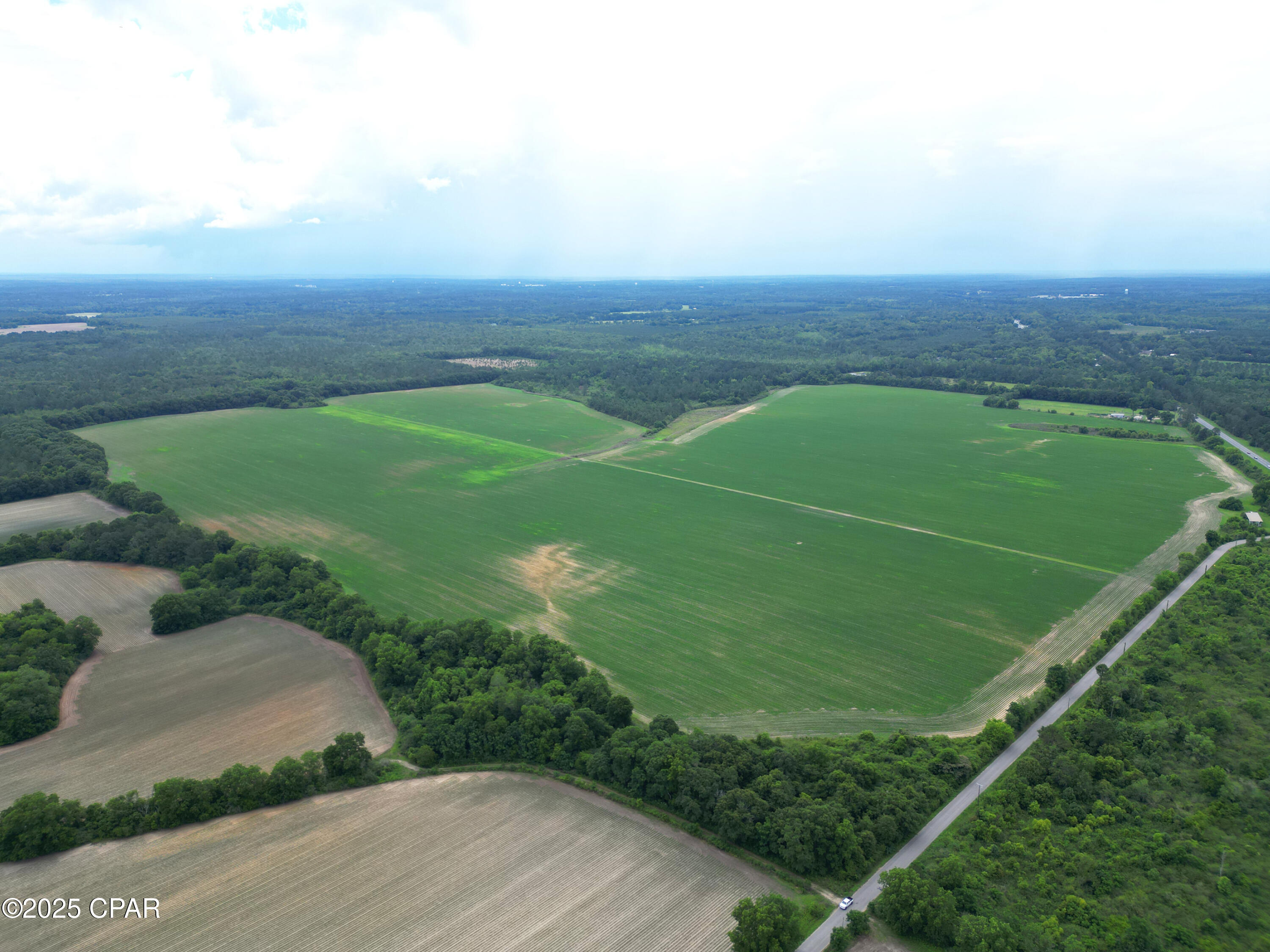 Image 9 For 00 Blue Star Highway