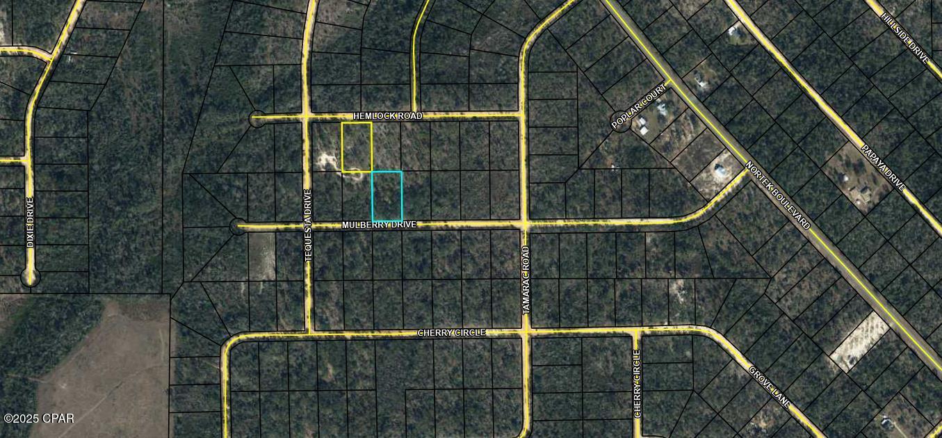 Listing Details for Tbd Mulberry Dr And Hemlock Rd  Lot 10 & L, Marianna, FL 32448
