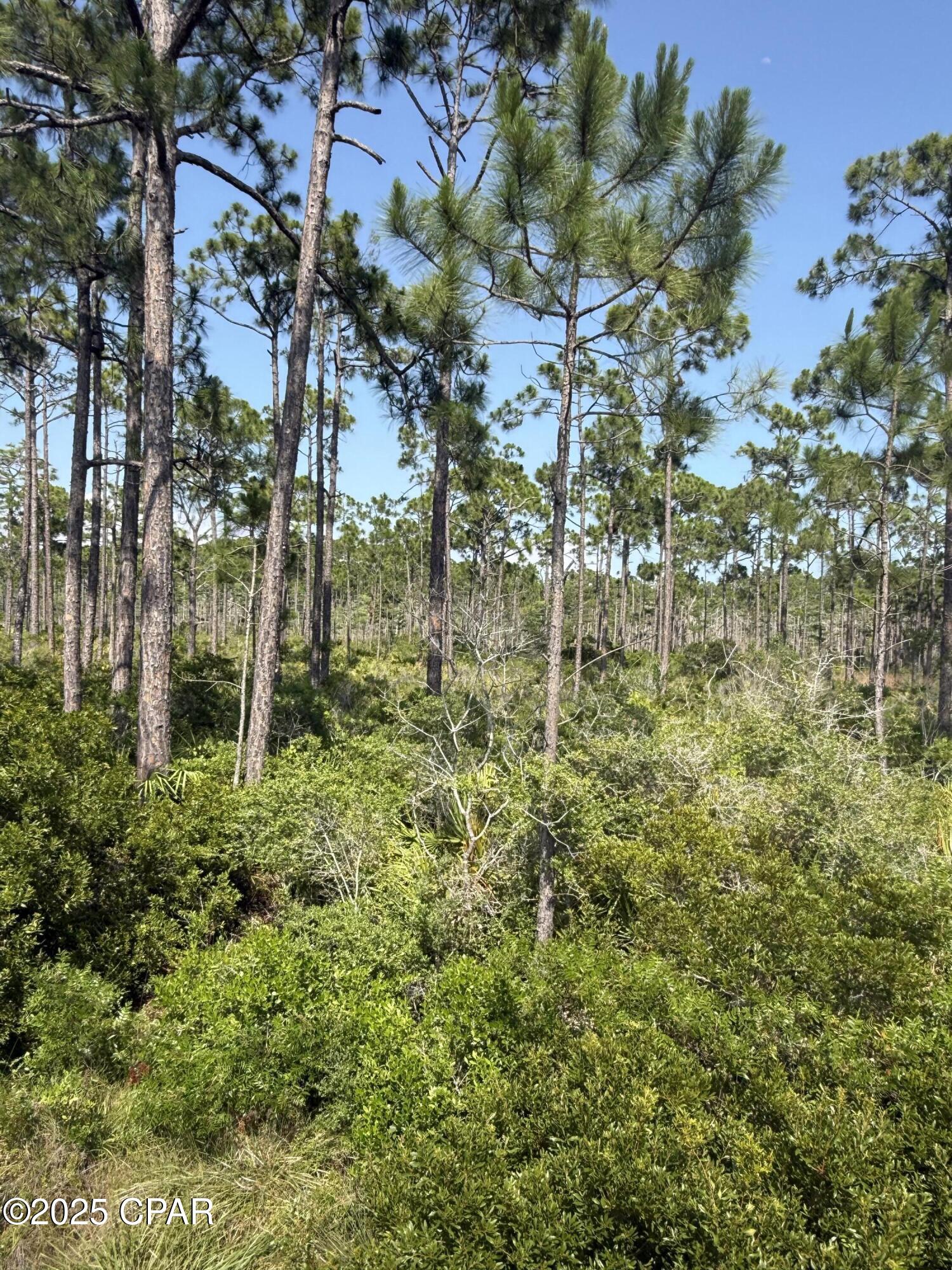 Image 9 For Lot 6 Sr 30-a