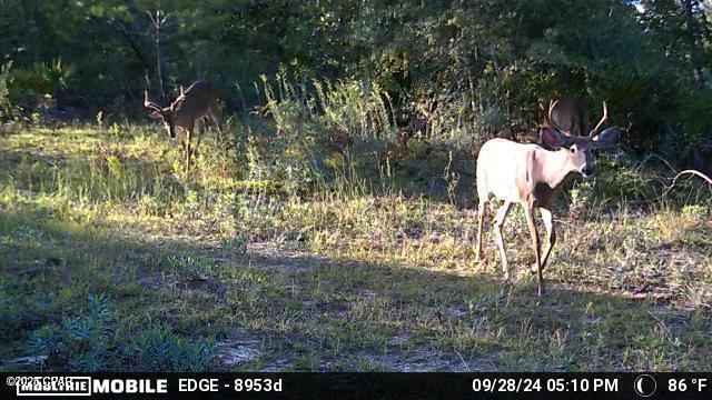 Image 33 For 705 Cornwell Road