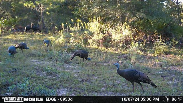 Image 34 For 705 Cornwell Road