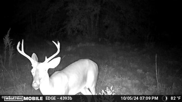 Image 35 For 705 Cornwell Road