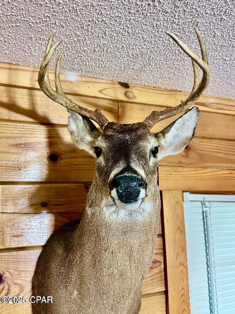 Image 43 For 705 Cornwell Road