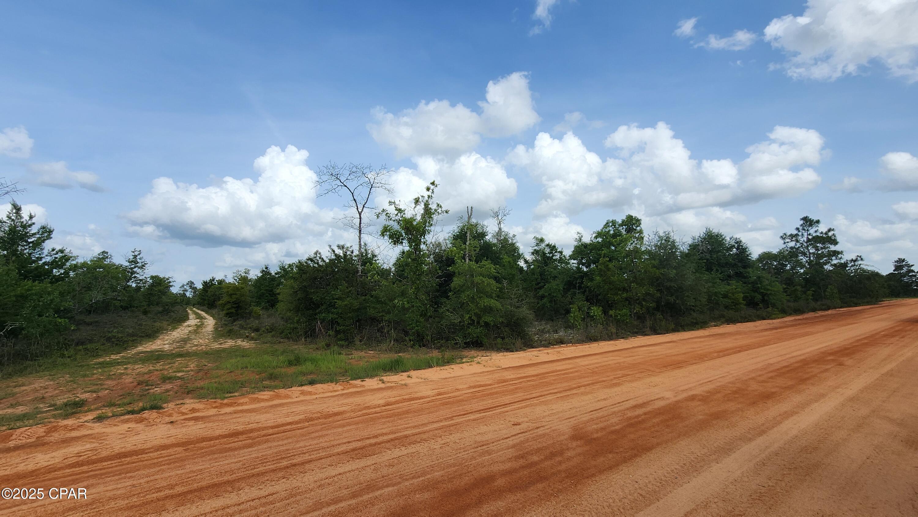 Homes for sale in Marianna, FL | 0 Petty Rd #Lot 11, Marianna, FL 32448 | MLS# 774798