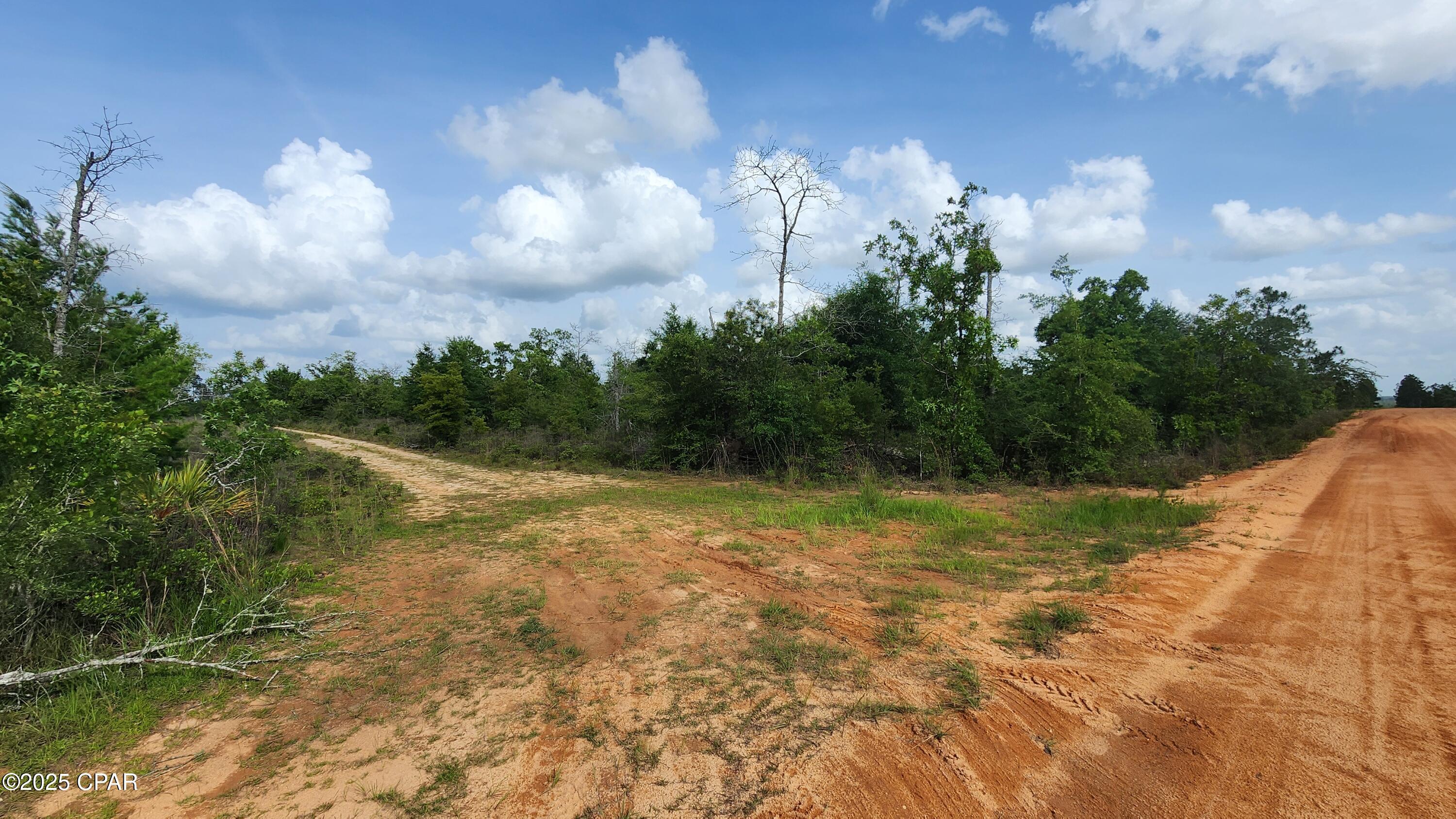 Homes for sale in Marianna, FL | 0 Petty Rd #Lot 11, Marianna, FL 32448 | MLS# 774798