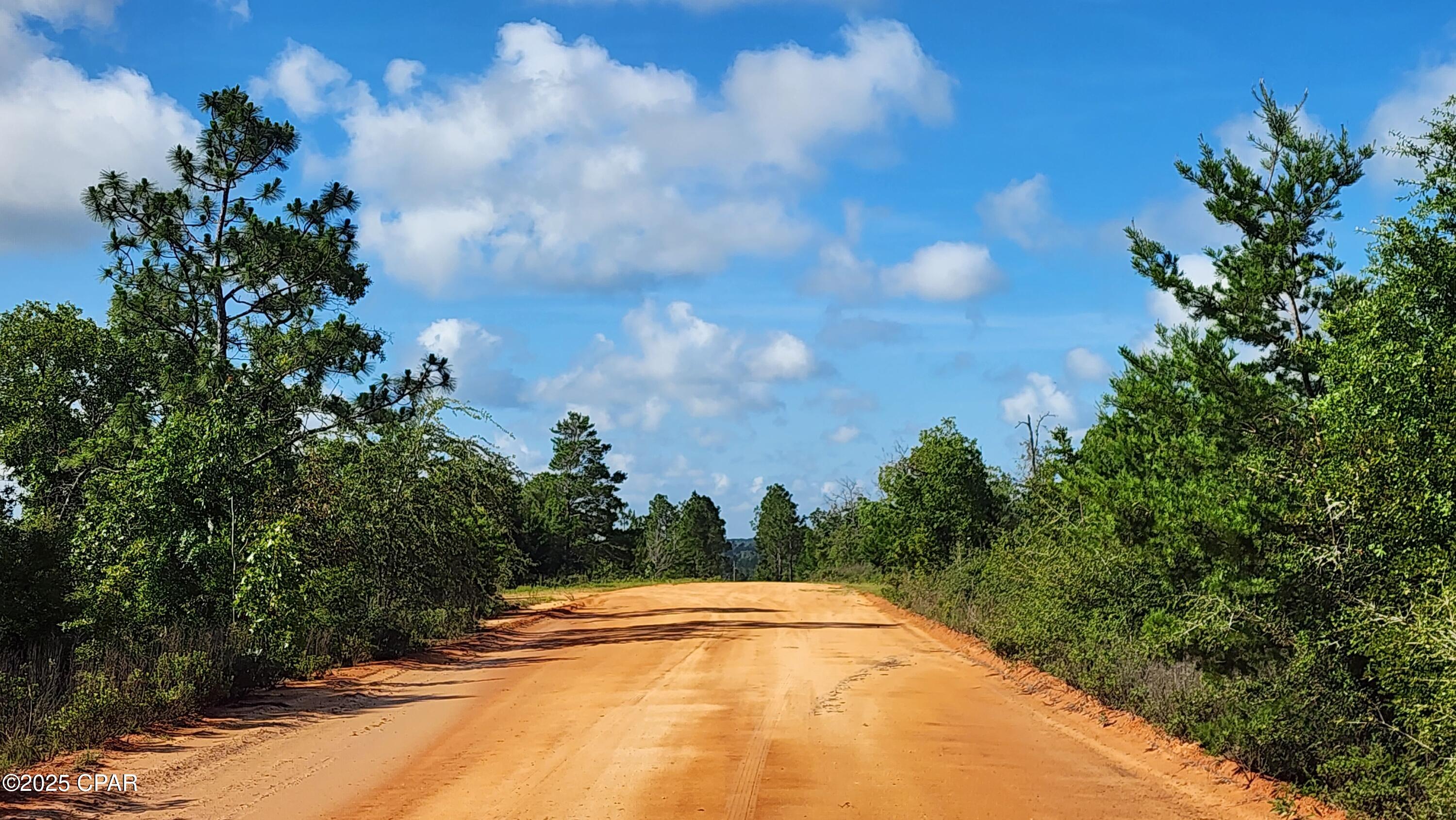 Homes for sale in Marianna, FL | 0 Petty Rd #Lot 11, Marianna, FL 32448 | MLS# 774798