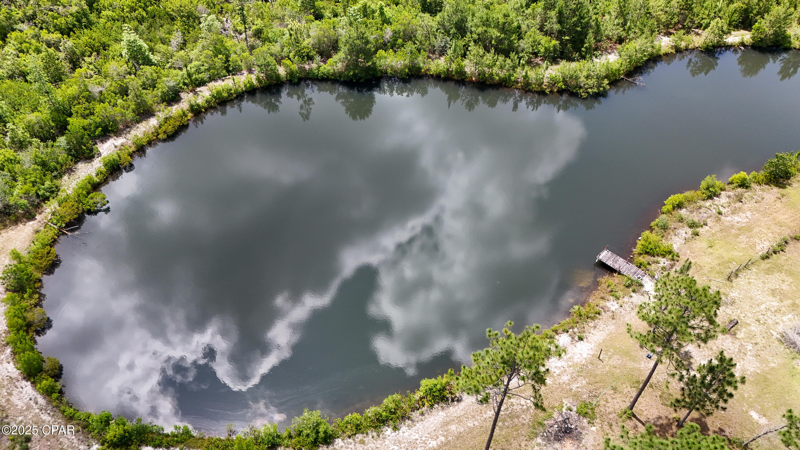 Image 8 For 24197 Pine Tree Trail
