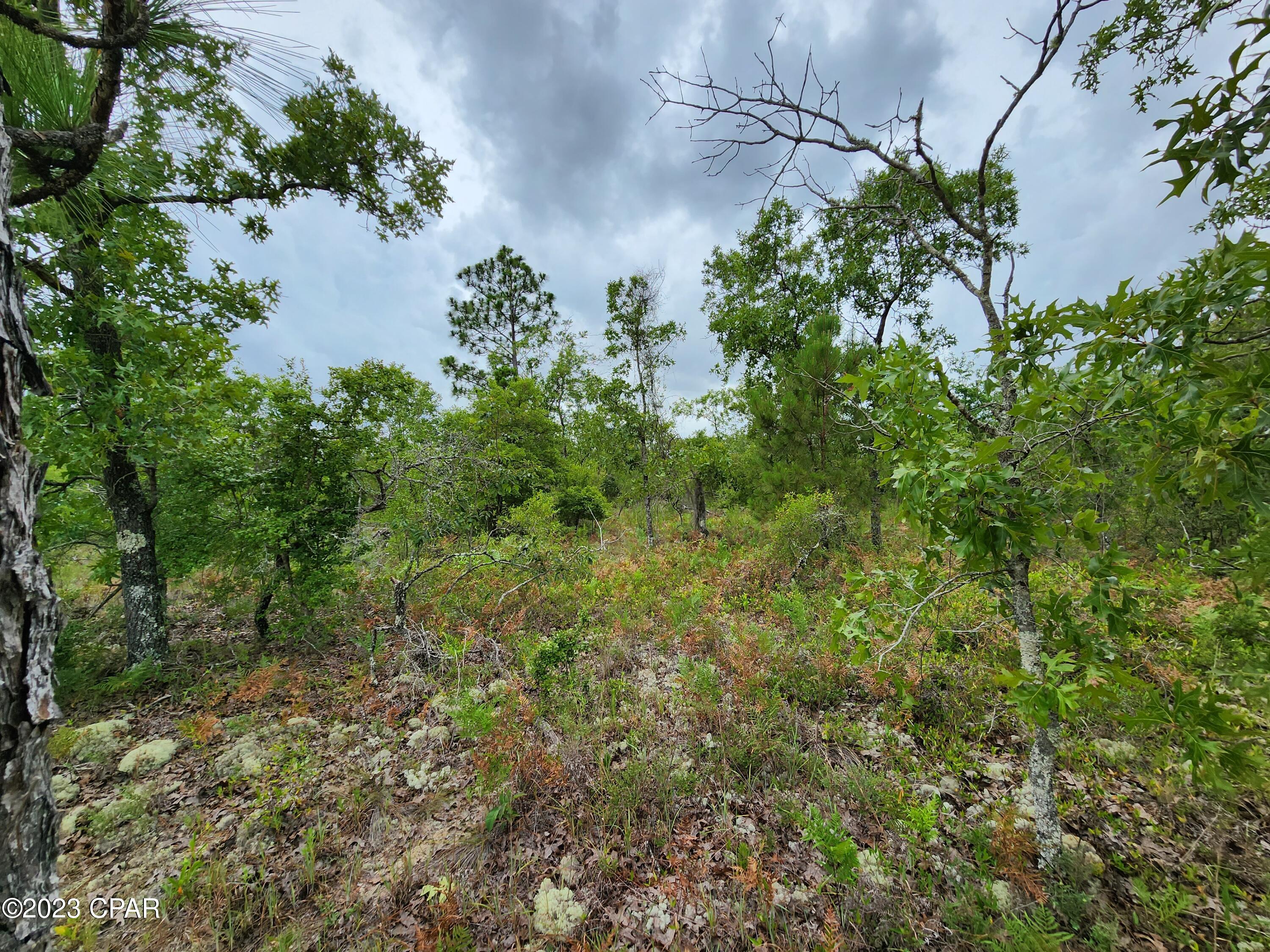 Image 7 For 0 Military Court Lot 4