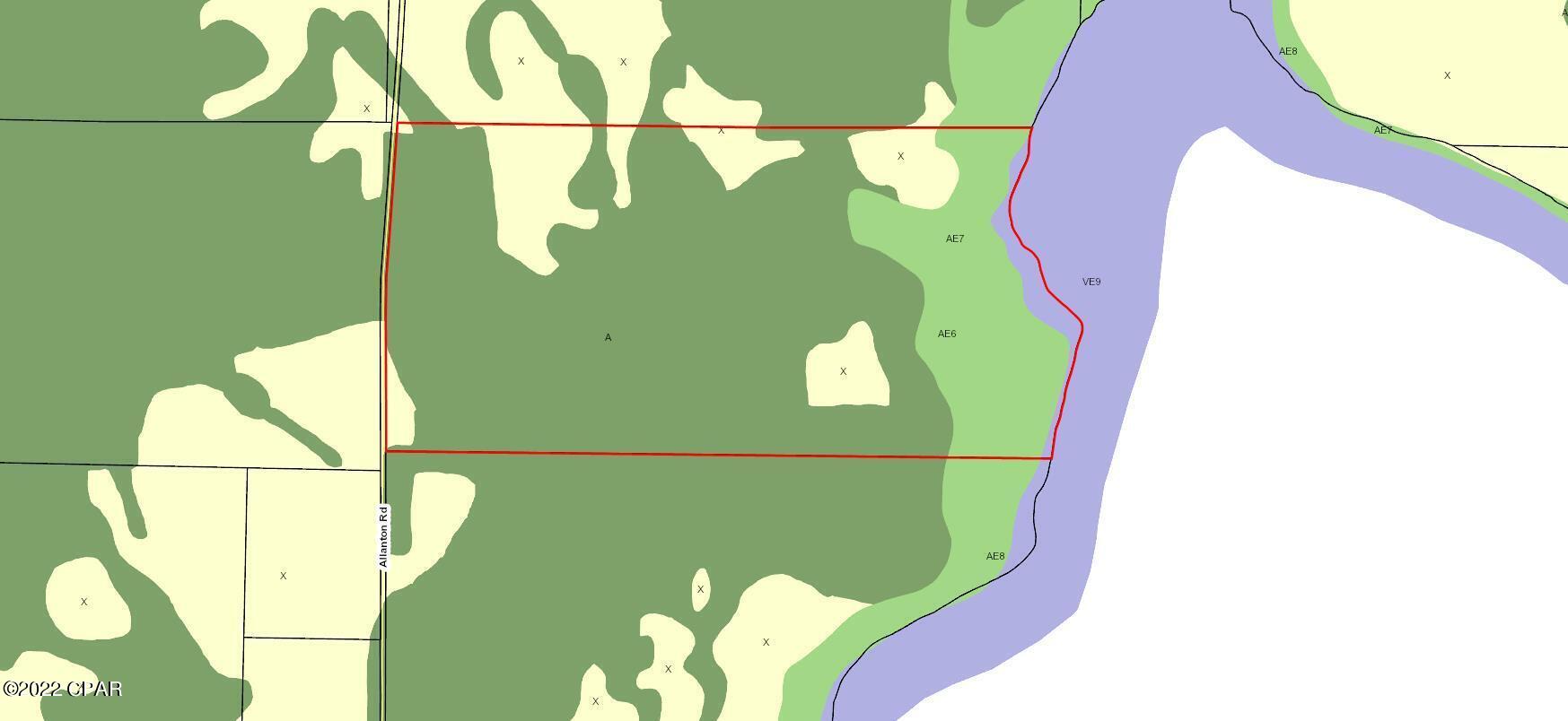 Listing photo id 7 for 0 Allanton Road