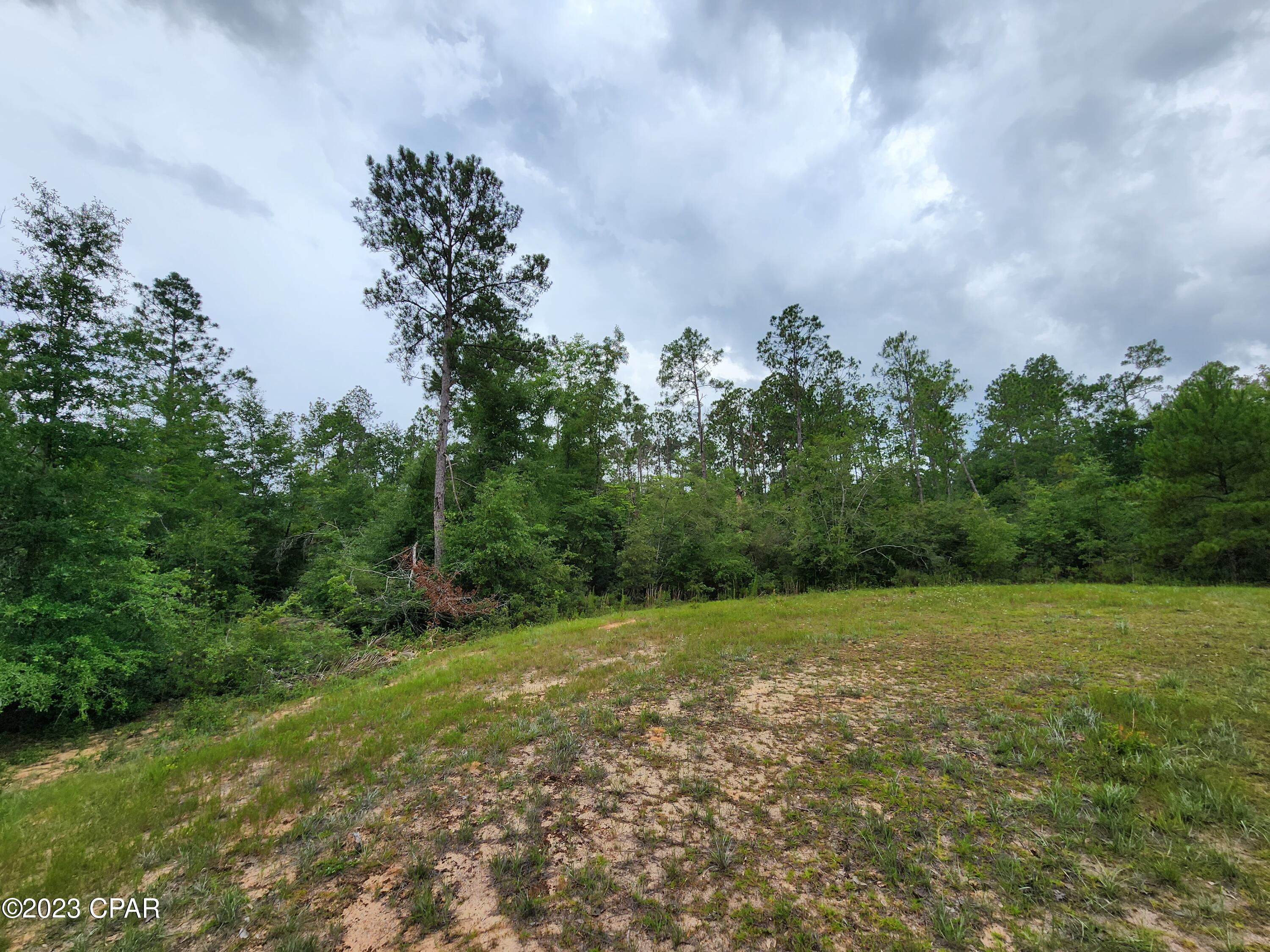 Image 6 For 0 Reed Court Lot 14