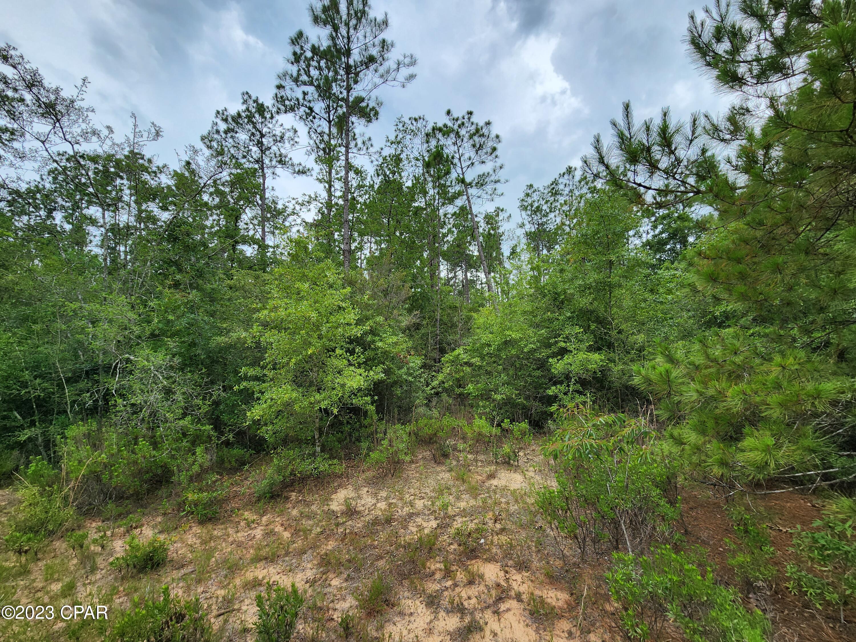 Image 9 For 0 Reed Court Lot 14