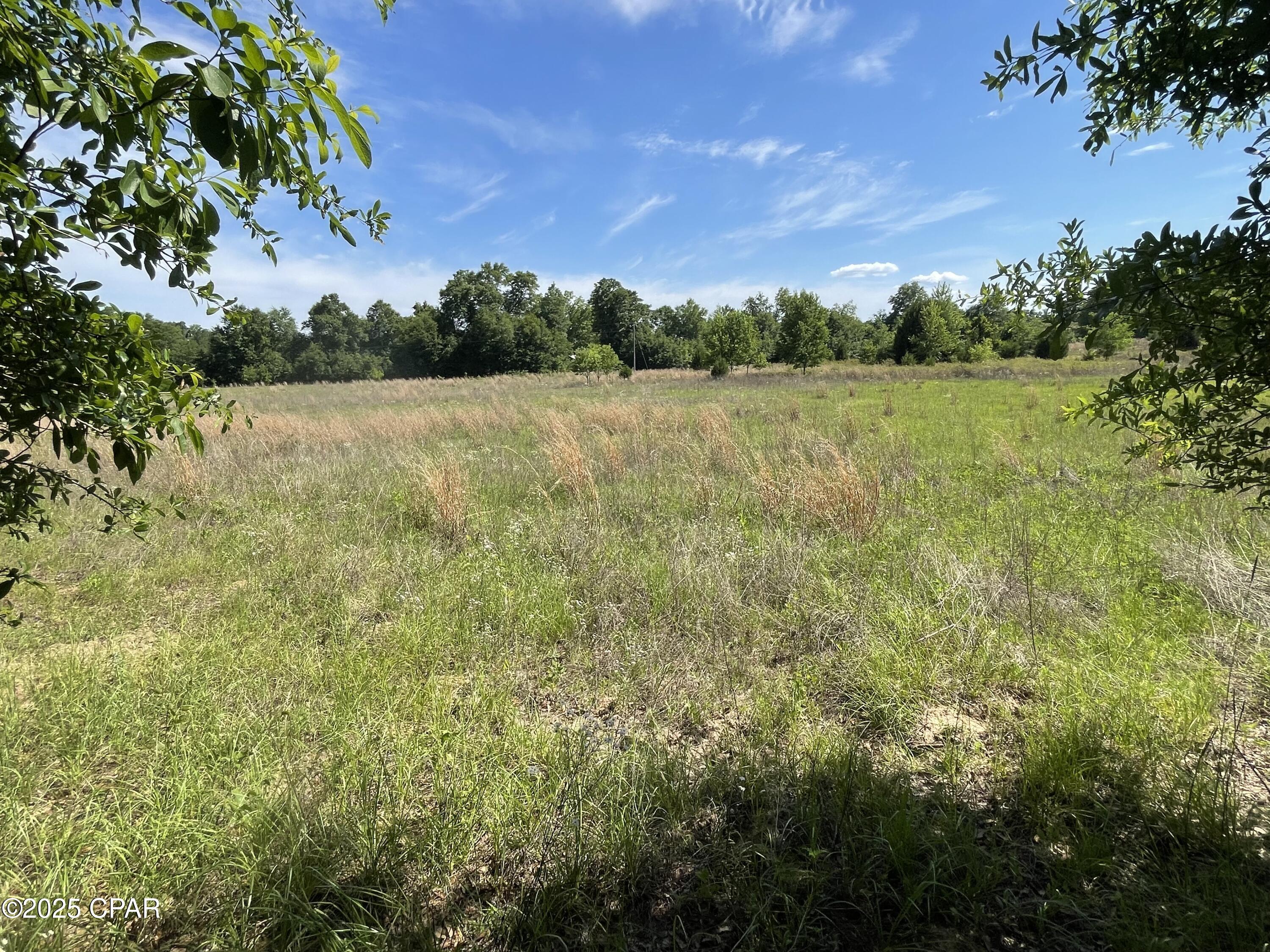 Image 10 For 0000 Blue Springs Road