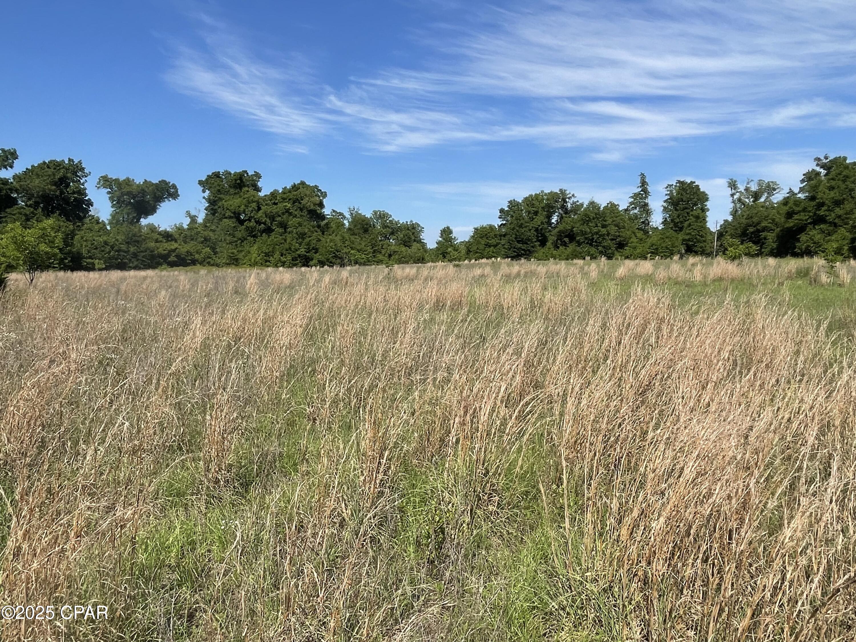 Image 11 For 0000 Blue Springs Road