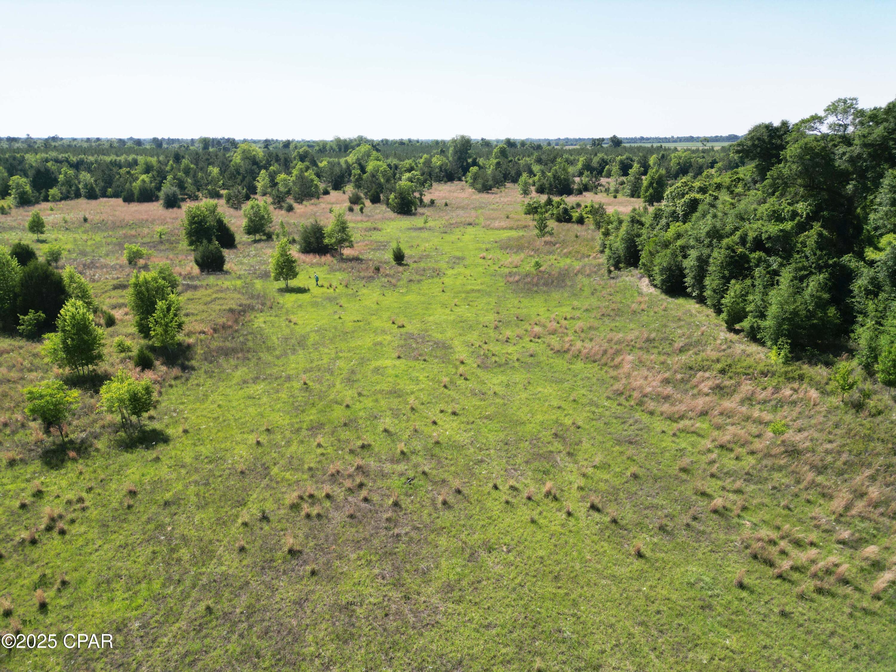 Image 7 For 0000 Blue Springs Road