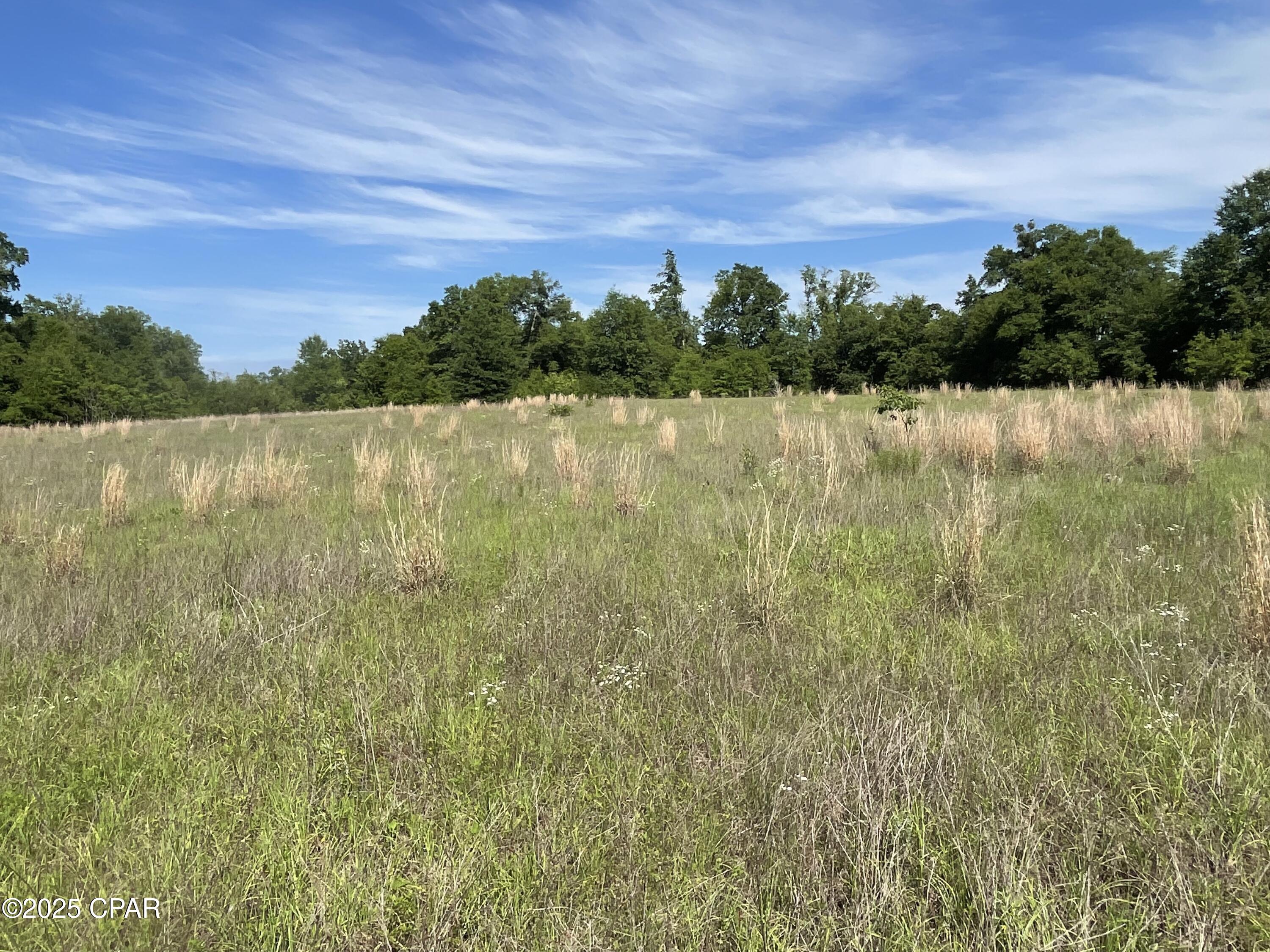 Image 9 For 0000 Blue Springs Road