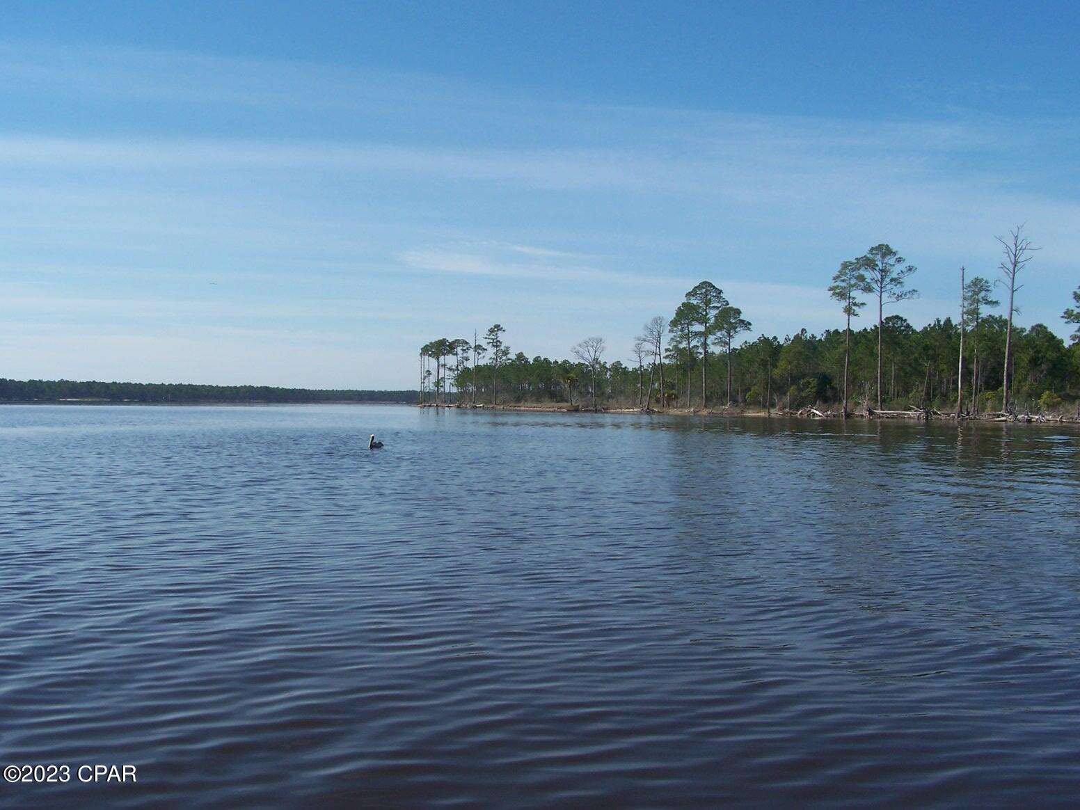 Listing photo id 39 for 00 Allanton Road