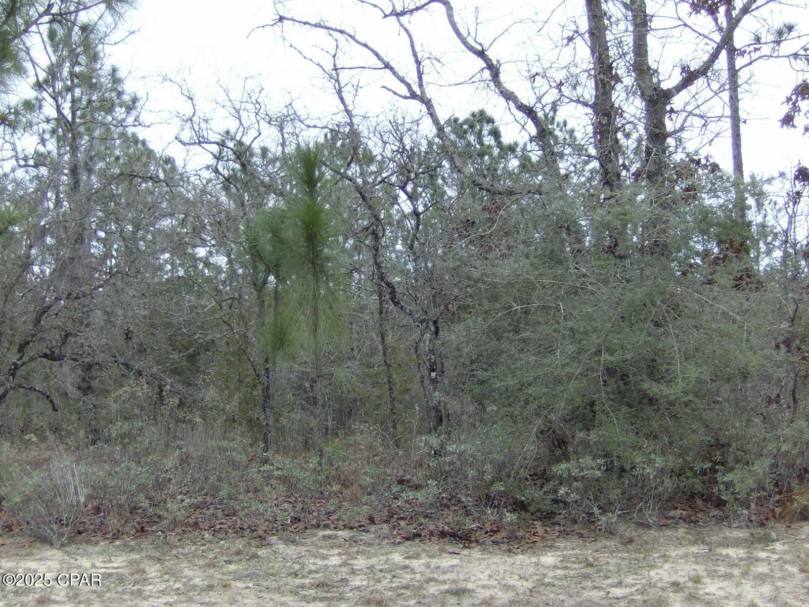 Listing Details for Tbd Panama Court, Chipley, FL 32428