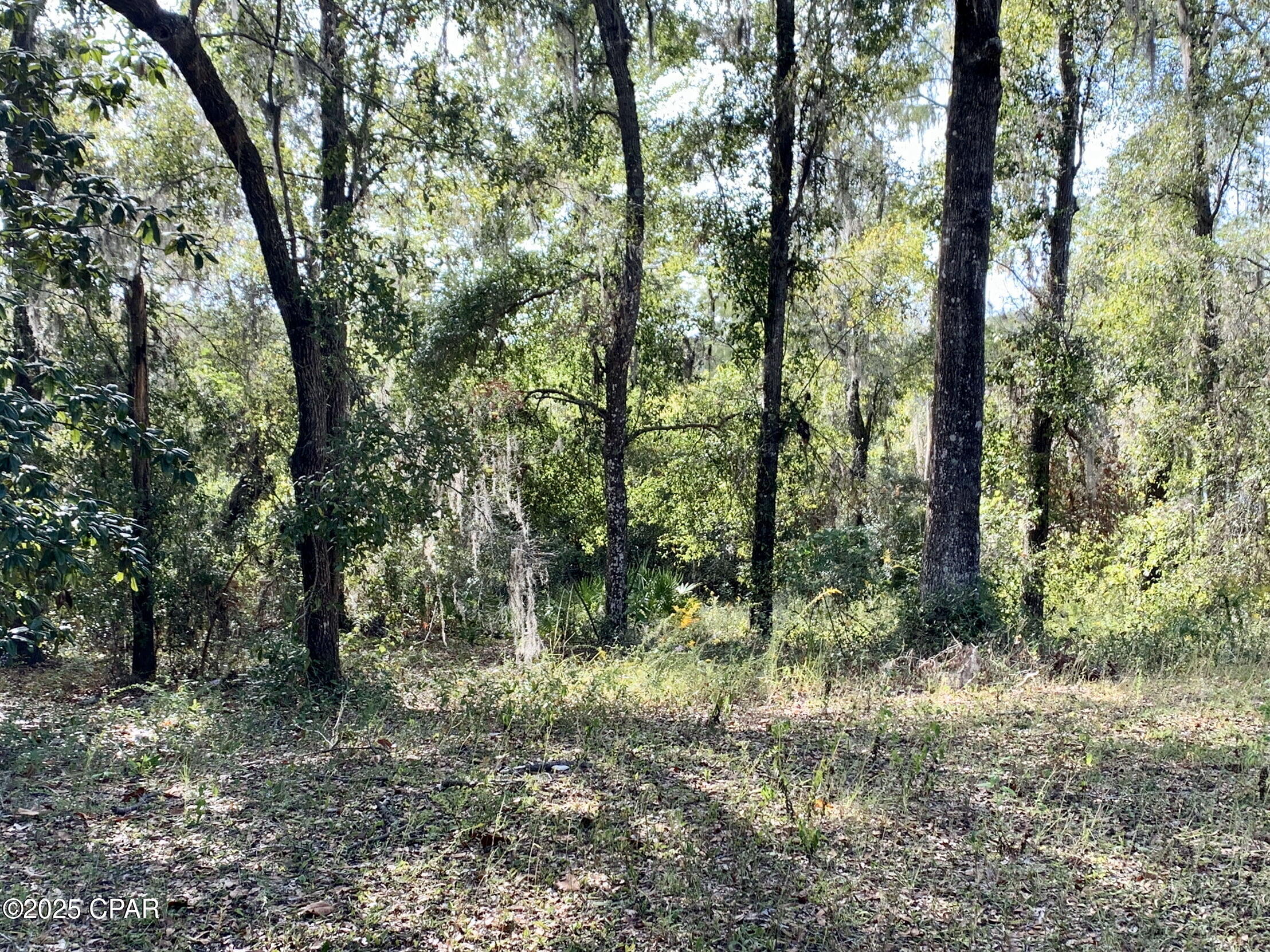 Image 17 For Lot 37 Cove Road