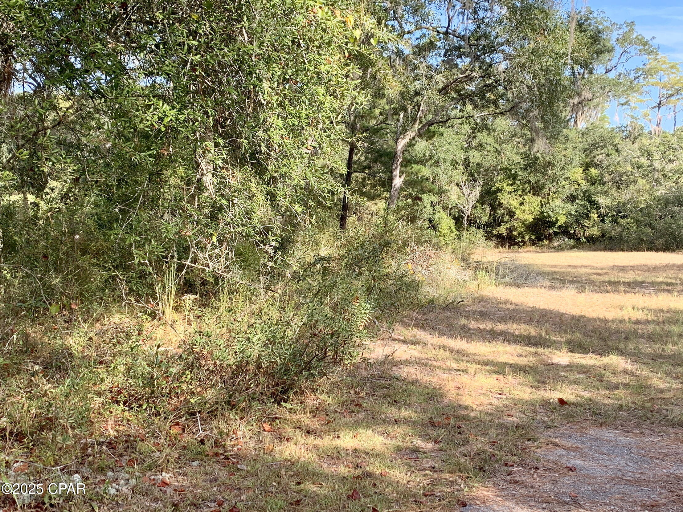 Image 18 For Lot 37 Cove Road