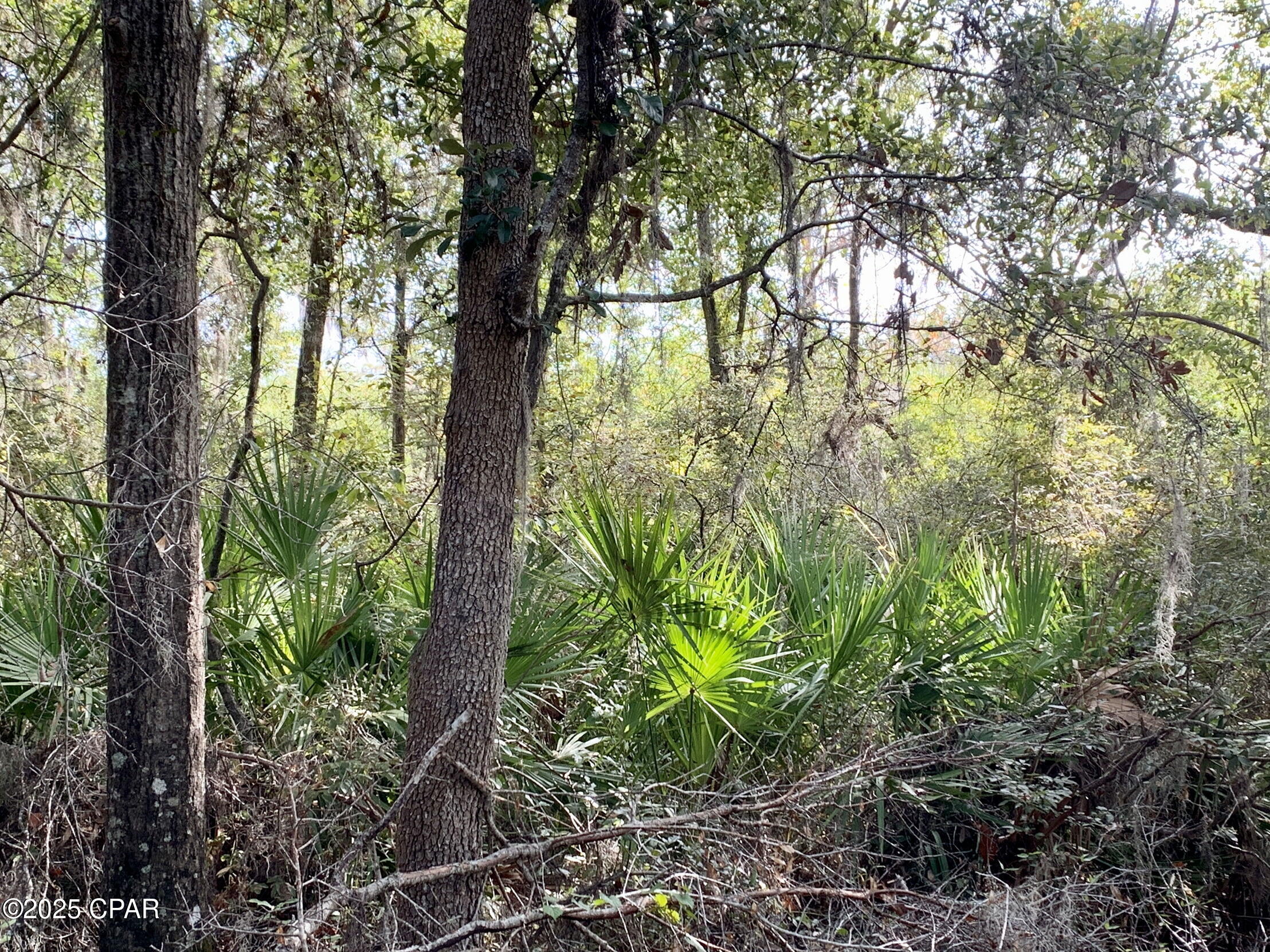 Image 19 For Lot 37 Cove Road