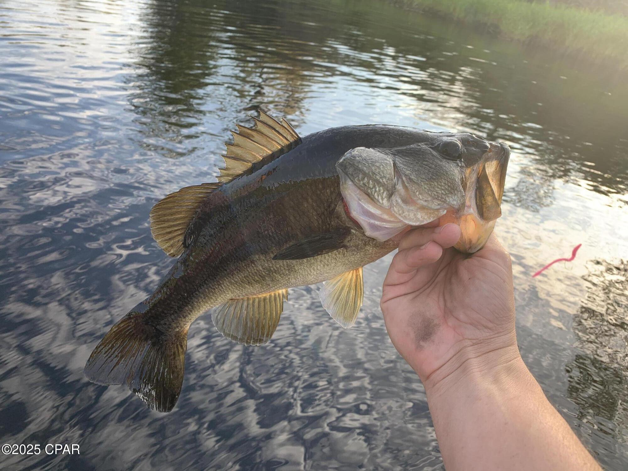 Image 31 For Lot 37 Cove Road